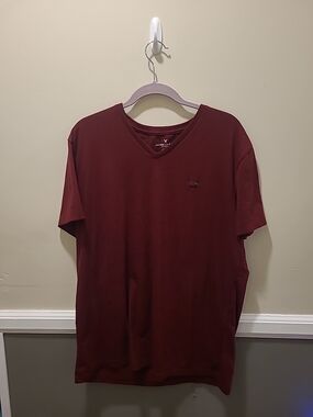 American Eagle Mens Flex Classic Fit Tshirt Maroon Large V Neck